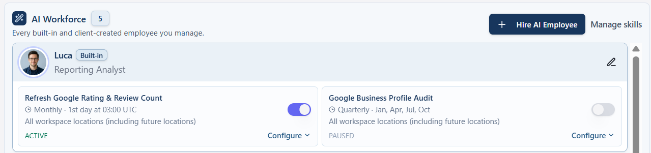 Luca Reporting Analyst configuration showing scheduled Google metrics and business reporting skills.